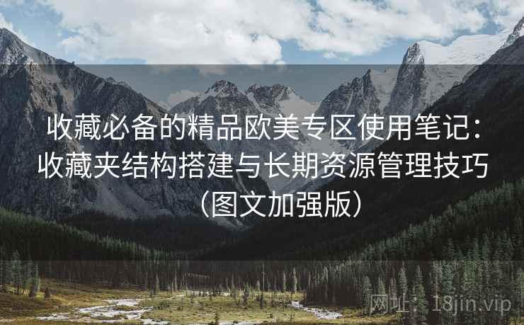 收藏必备的精品欧美专区使用笔记：收藏夹结构搭建与长期资源管理技巧（图文加强版）