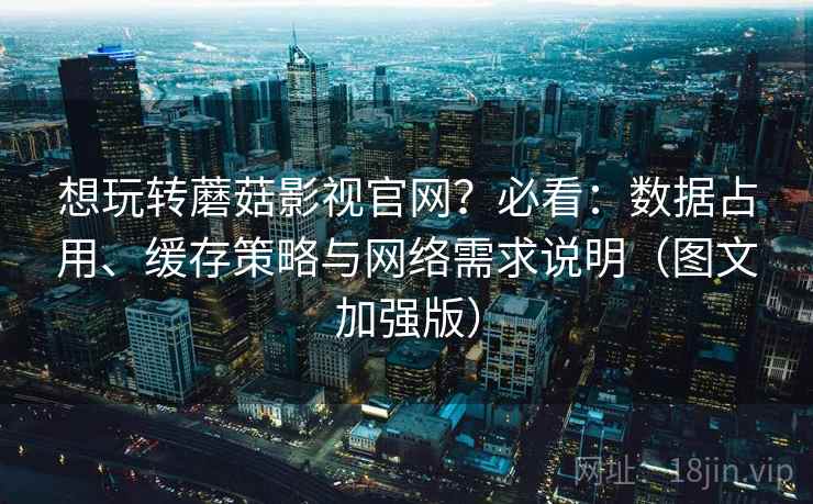 想玩转蘑菇影视官网？必看：数据占用、缓存策略与网络需求说明（图文加强版）