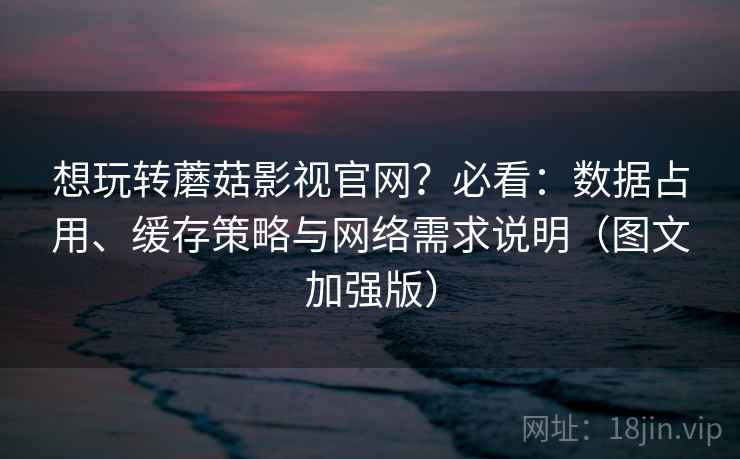 想玩转蘑菇影视官网？必看：数据占用、缓存策略与网络需求说明（图文加强版）