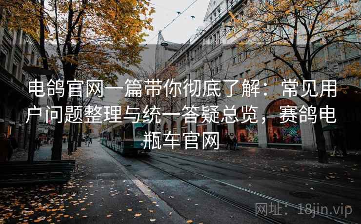电鸽官网一篇带你彻底了解：常见用户问题整理与统一答疑总览，赛鸽电瓶车官网