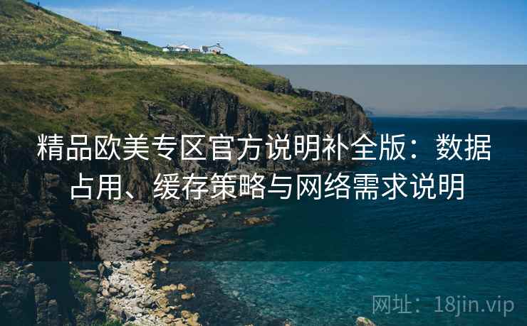 精品欧美专区官方说明补全版:数据占用、缓存策略与网络需求说明 精品欧美专区官方说明补全版:数据占用、缓存策略与网络需求说明